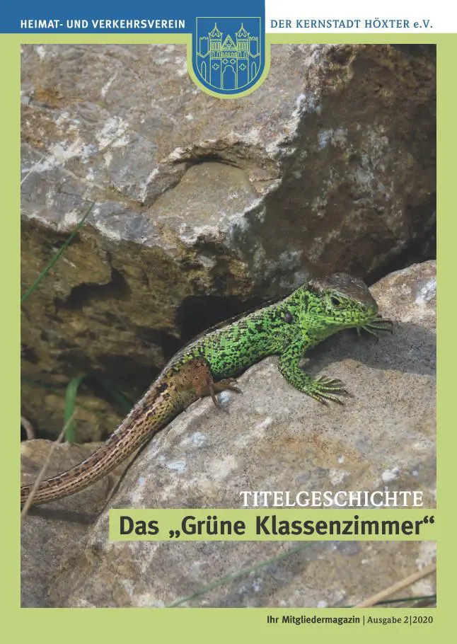 Ausgabe-Juni-2020
