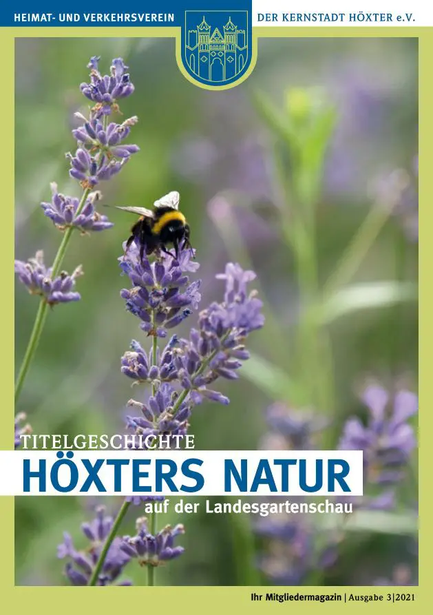 Ausgabe-September-2021