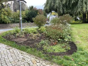 202509 HVV-Beetpflege04 Foto D.Meyhoefer