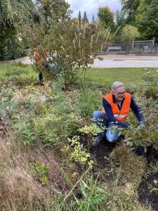 202509 HVV-Beetpflege10 Foto D.Meyhoefer