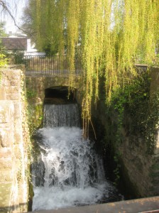 Wasserfall Walkemühle        