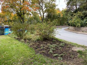 202509 HVV-Beetpflege02 Foto D.Meyhoefer