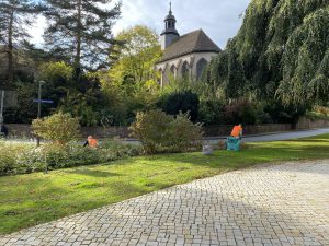 202509 HVV-Beetpflege06 Foto D.Meyhoefer