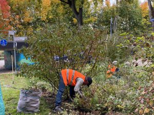 202509 HVV-Beetpflege07 Foto D.Meyhoefer