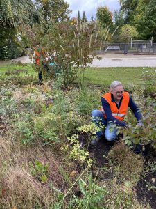 202509 HVV-Beetpflege10 Foto D.Meyhoefer