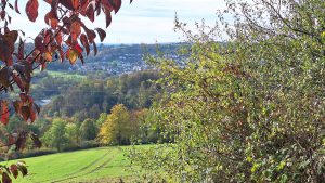20251019 Wanderung Haarbrueck Jakobsberg01 Foto E.Drews 