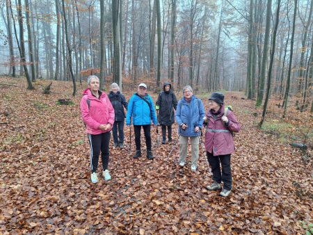 20251116 Wanderung Heiligengeisterholz Kapenburg01 Foto E.Drews 