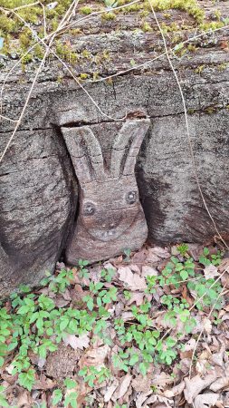 2025 Wanderung Reuterstein Foto E.Drews 04