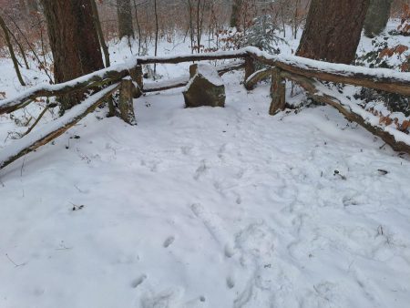 202601 Gruenkohlwanderung06 Foto E.Drews 