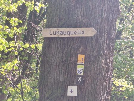 20260426 Wanderung Lunauborn Foto E.Drews 02