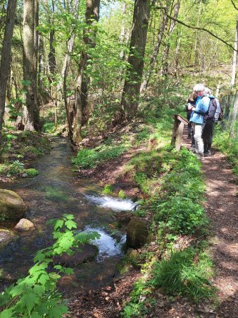20260426 Wanderung Lunauborn Foto E.Drews 04
