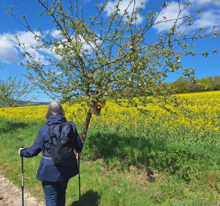 20260426 Wanderung Lunauborn Foto E.Drews 07