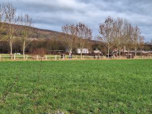 Gruenkohlwanderung2024 09