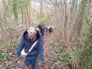 Gruenkohlwanderung2024 14