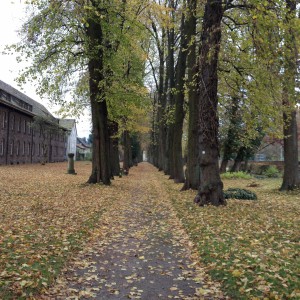 Friedhofswall    