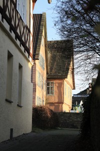 Pins Forum  Rückseite              