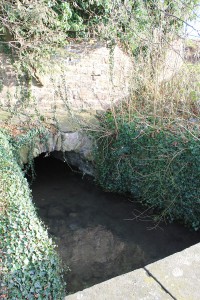 Grube am Wall                                 