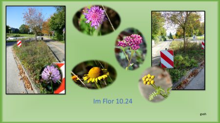 Im Flor 15