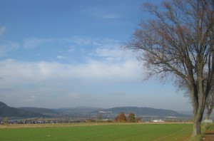 Von Fürstenberg     