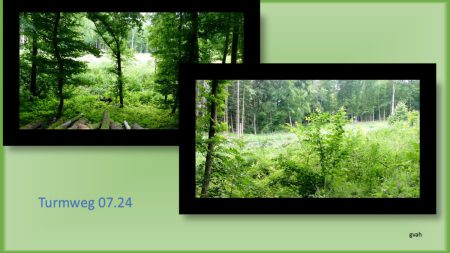 Waldpfl Turmweg 05