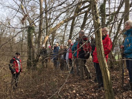 Wanderung Graupenburg 01
