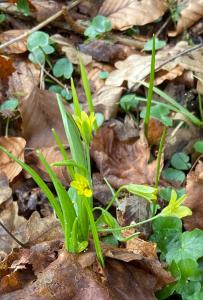 Wanderung Graupenburg 05